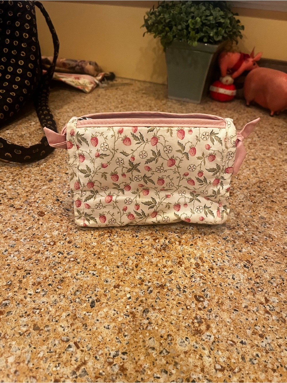 Laura Ashley Cream Floral Cosmetic Pouch with Pink Trim